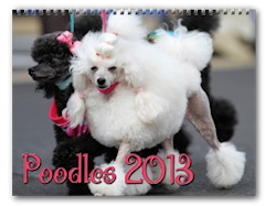 Poodles 2013 Calender zazzle_calendar